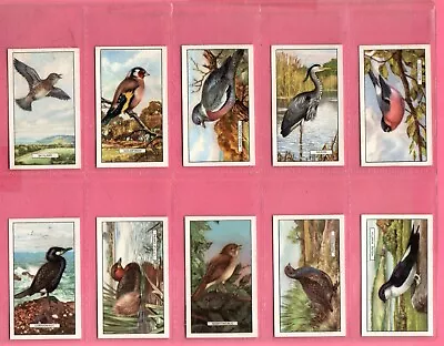 Gallaher: British Birds 1937 Full Set 48 Cigarette Cards • £6.49