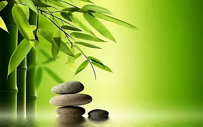 £7.88 • Buy Japanese Zen Stones Bamboo Spiritual Canvas Picture Poster Print Unframed A53