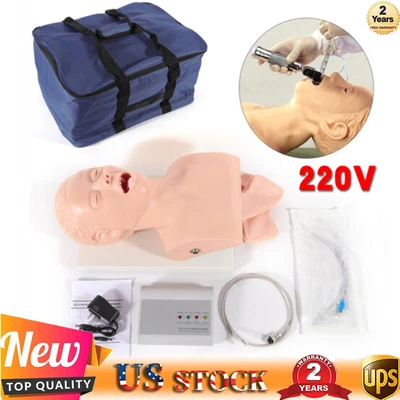 $219 • Buy Manikin Study Airway Management Trainer Model Oral Intubation Simulator Teaching