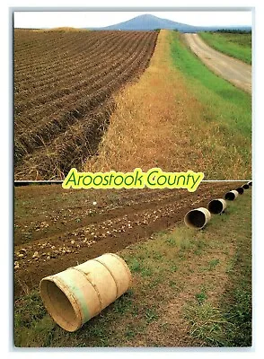 $3.97 • Buy Postcard Aroostook County - Potato Fields Nearing Harvest, Maine ME MS500 * 2