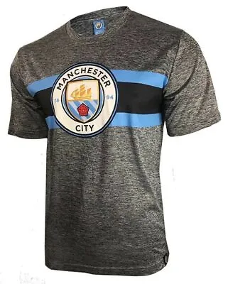 Manchester City Football Club 2022 Grey Poly Training Soccer Jersey Shirt • $24.99