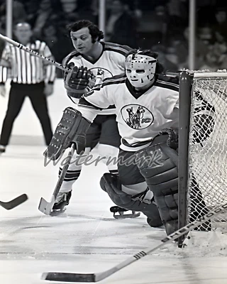 $5.99 • Buy NHL Defunct KC Scouts  Goalie Peter McDuffe Game Action 8 X 10 Picture Photo