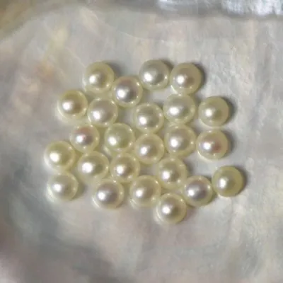 LOT 24 FRESHWATER PEARLS 3.5mm Round BUTTON Cream White Half-drilled China 6.5ct • $3.95