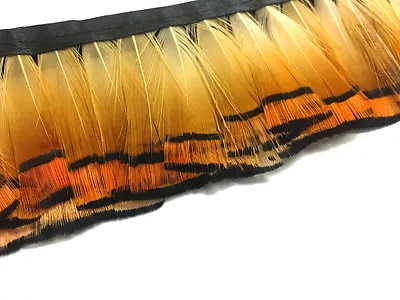 1 Yard - Natural Orange Tippet Golden Pheasant Feather Trim Costume Mardi Gras • $14.93