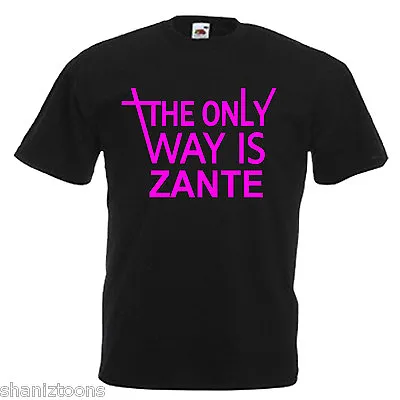 Zante Adults Mens T Shirt 12 Colours  Size S - 3XL • £9.49