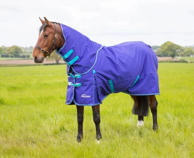 £74.99 • Buy Shires Highlander Original 50g Horse Turnout Rug & Neck Set | Royal | 5'0 -7'3 