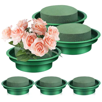  6 Pcs Pp Small Round Dish Of Flower Arranging Clay Foam Wet Florist Blocks • £12.65