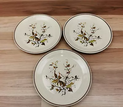 3 X Vintage Royal Doulton Wild Cherry 8.5  Salad  / Dessert Plates - Lambethware • £12.99