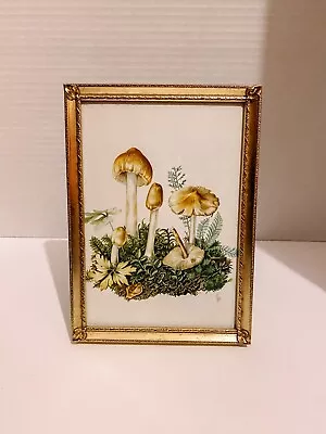 Vintage Botanical Mushroom Art Field Guide Print Cottagecore Style Brass Frame • $15