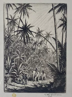 Tavik Frantisek (TF) Simon (1877-1942) Tropical Woods Ceylon 1927-28 RARE • $495.95