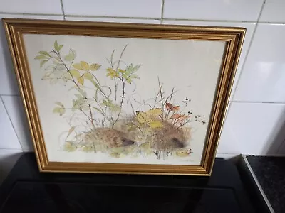 Vintage Print Hedgehogs Mads Stage • $12.32