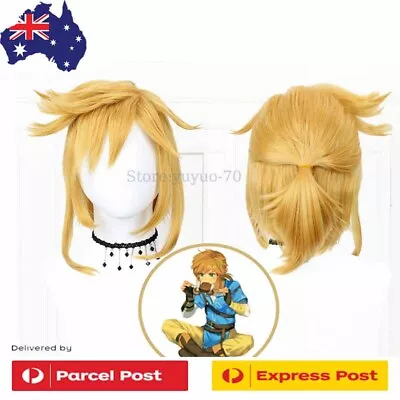 Legend Of Zelda Link Cosplay Costume Cosplay Prop Wig Heat Resistant Synthetic • $32.70