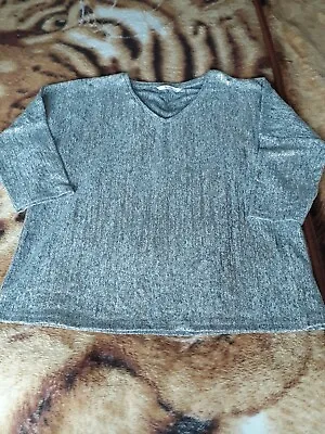 £3.99 • Buy Ladies Shiny Silver Top, Size 12, From Tu