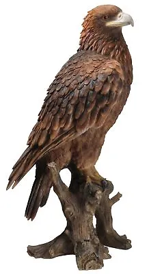 Golden Eagle - Lifelike Garden Ornament - Indoor Or Outdoor - Real Life Stunning • £52.50