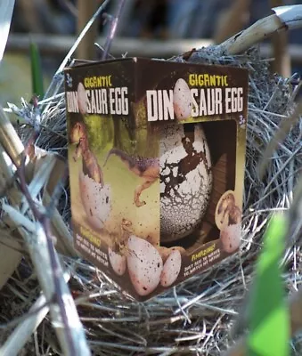£9.99 • Buy Gigantic Dinosaur Egg Toy - Age  3+ - Watch Me Hatch! Fun Jurrasic Easter Gift! 