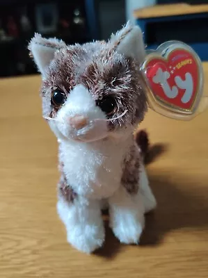 £15.95 • Buy Ty Beanie Babies Cat Bently Hard To Find In Uk