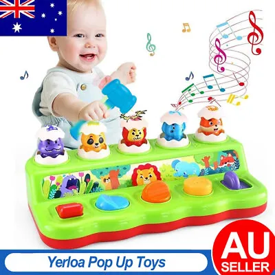 Pop Up Toys For 1 Year Olds Montessori Toys For 1 2 3 Year Old Boys Girls • $34.99