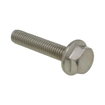 M8 (8mm) X 1.25 Pitch Metric Coarse Hex Flange Bolt Serrated Stainless G304 • $476