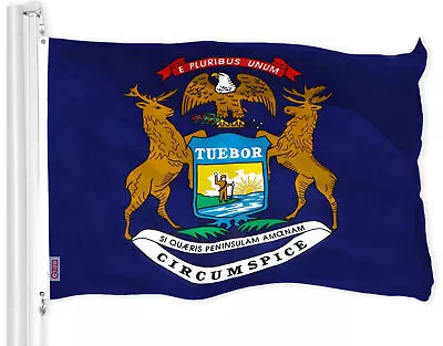 Michigan MI State Flag 3x5 FT Printed 150D Polyester Great Lakes State By G128 • $12.99