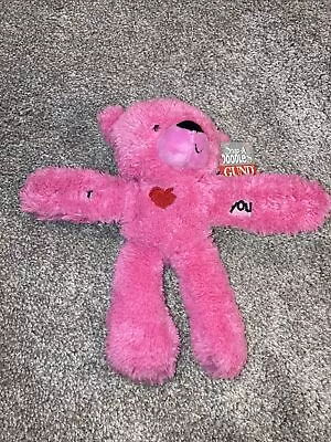 NWT VHTF 9  Gund SNAP A DOODLES Pink Bear Arms Snap I Love You This Much Plush • $9.99