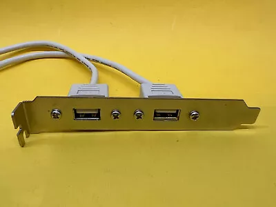 2 Port USB To 10 Pin Header Bracket Free Shipping • $11