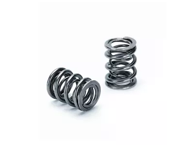 SuperTech Dual Valve Springs Fits Acura K20A2 / K24A2 / B18C1 - SPR-H100DR-16 • $220.13