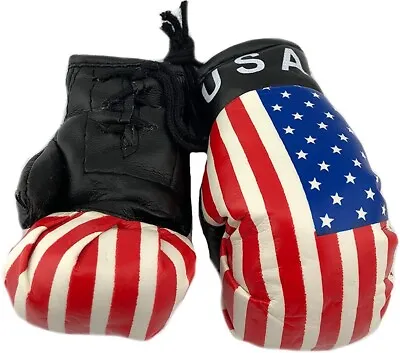 USA  Hanging Car Mirror Mini Boxing Gloves • $3.74