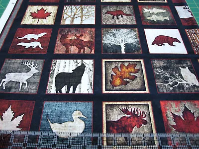 $12 • Buy 1 Yard Digital Cotton Fabric - QT Fabrics The Great White North Canada Squares