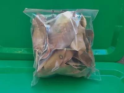 100% Organic Dried Magnolia Leaf Litter (2) 1 Gallon Bags For Bedding And Food. • $12