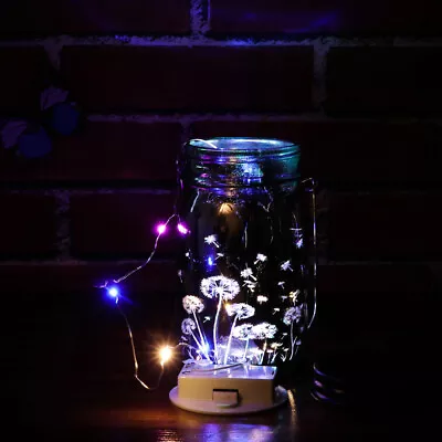  Dandelion Mason Jar Lamp Portable Hanging Lantern File Handles • £18.38