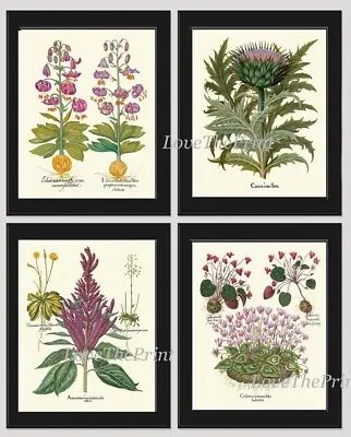 Botanical Prints Wall Art Decor Set Of 4 Beautiful Antique Vintage Unframed • $18