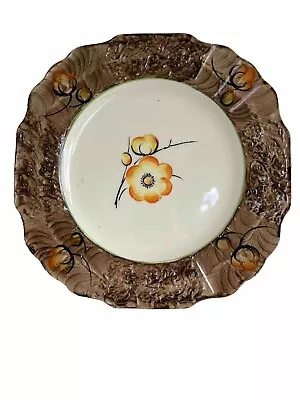 Antique Botanical China Plate Myott & Son Hand Painted • £1.99