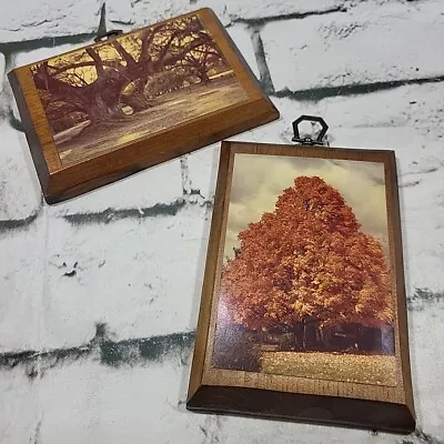 Vintage Wooden Plaques 6  X 4.5  Trees Country Nature Handmade Decor Lot Of 2  • $16.99