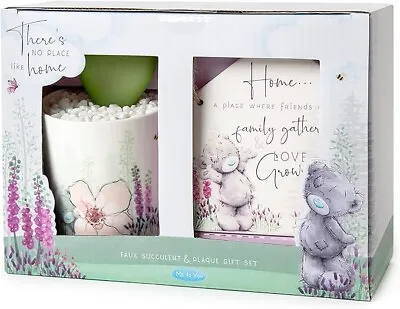 Me To You Tatty Teddy There's No Place Like Home Faux Succulent/plaque Gift Set • £6.99