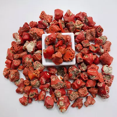 100 CRT Lot Undyed Sea Red Coral Rough-Old Red Coral Polished Rough Gemstone Lot • $29.44