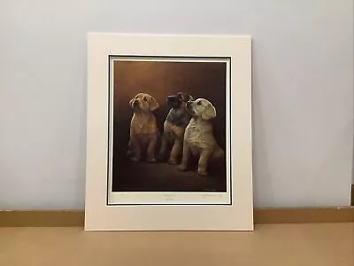£95 • Buy Nigel Hemming - Guiding Lights - Open Edition Print - Signed