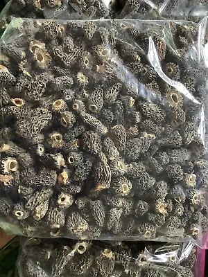 Idaho Dried Morel Mushrooms 8 Oz. Bag. Smallmediumlarge Mix Beauties Naturals • $85.99