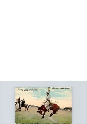 POSTCARD COWBOY RODEO E. McCARTY ON SILVER CITY RIDING BUCKING BRONC STRAIGHT-UP • $11.98