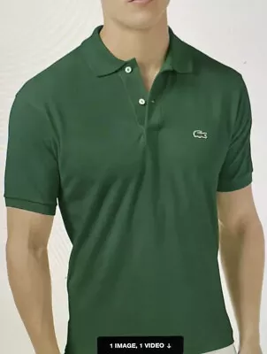 LACOSTE Green Polo Shirt /Top. Size 2. Hi-Low Hemline 100% Cotton • $23