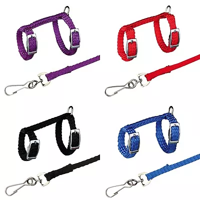 £7.49 • Buy Trixie Harness With Lead For Ferrets Rats