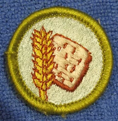Boy Scouts Of America BSA Food Systems Merit Badge Plastic Back • $2.50