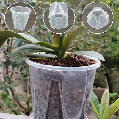 $5.16 • Buy Clear Orchid Pots With Holes Plastic Flower Planter Breathable Controlled Roots