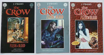 James O'Barr's The Crow: Flesh & Blood #1 To 3 Set Kitchen Sink 1996 FN+ 6.5 • £26.99