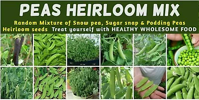 PEA Heirloom Mix 25+ NON-GMO Seeds Vegetable Garden ALL TYPES MIXED Snow Peas  • $3.99