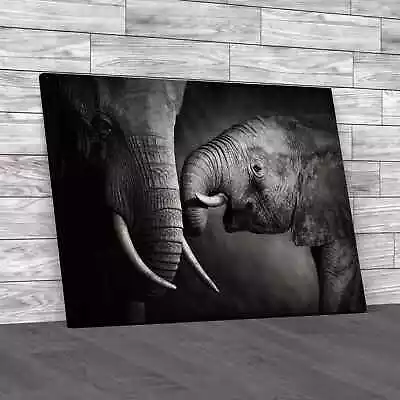 Baby Elephant And Parent Canvas Print Large Picture Wall Art • £14.95