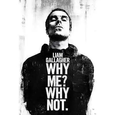 (020) NEW LIAM GALLAGHER WHY ME WHY NOT OASIS MAXI WALL POSTER 61cm X 91.5cm • £7.99