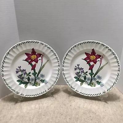 Mikasa Summer Symphony Dinner Plates 10 3/4  CAJ14 Maxima Floral Lot Of 2 • $19.99