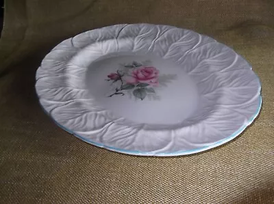 Vintage Large Coalport Oval Rose Plate In The Countryware Style • £5