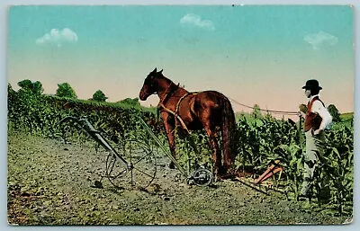 Litchfield IL Cancel~Farmer In Field~Vest & Derby Hat~Horse Drawn Plow~1914 • $11