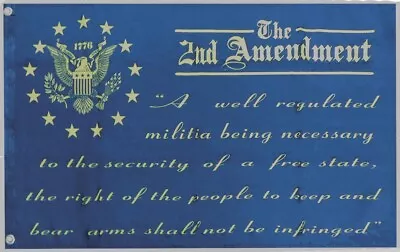 2nd Amendment A Well Regulated Militia Black 100D 2'x3' Woven Poly Nylon Flag • $12.88